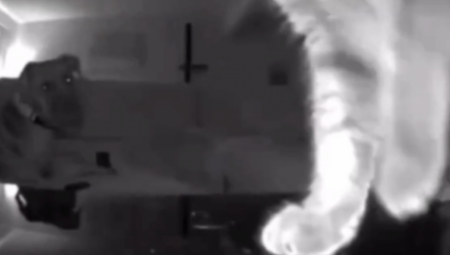 HIT SNIMAK SA TVITERA! MAČKA "OCINKARILA" PSA Pomerila kameru i pokazala vlasnicima šta on radi dok oni nisu kod kuće (VIDEO)