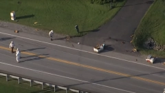 HAOS! 5 MILIONA PČELA RASULO SE PO PUTU U ONTARIJU "U ovoj situaciji držite se podalje od njih" (VIDEO)