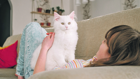 ISCELITELJSKE MOĆI MAČAKA Kako nas štiti od bolesti i nesreće