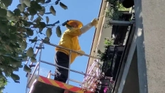 "NE SMEMO DA OTVORIMO VRATA" Najezda stršljenova i osa u Trebinju, građani zatvoreni u kućama (VIDEO)