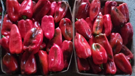 PAPRIKA NAJTRAŽENIJA A OVO JE CENA Stigle i prve mandarine iz regiona