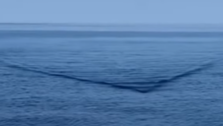 DA SE NAJEŽIŠ! Muškarac uživao na jahti pa u moru ugledao jezivo stvorenje: "Prvo je krenuo neobičan talas" (VIDEO)