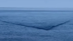 DA SE NAJEŽIŠ! Muškarac uživao na jahti pa u moru ugledao jezivo stvorenje: "Prvo je krenuo neobičan talas" (VIDEO)