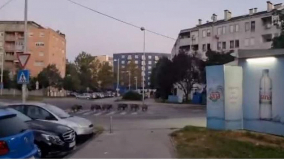 MASOVNI ŠTRAJK U HRVATSKOM LIDLU Radnici besni: Znatel ii kolike su nam plate