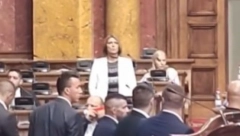 DO SAD NEVIĐENO U SKUPŠTINI SRBIJE Izglasan i usvojen amandman opozicione odbornice, ona lupala poslovnikom u klupu! (VIDEO)