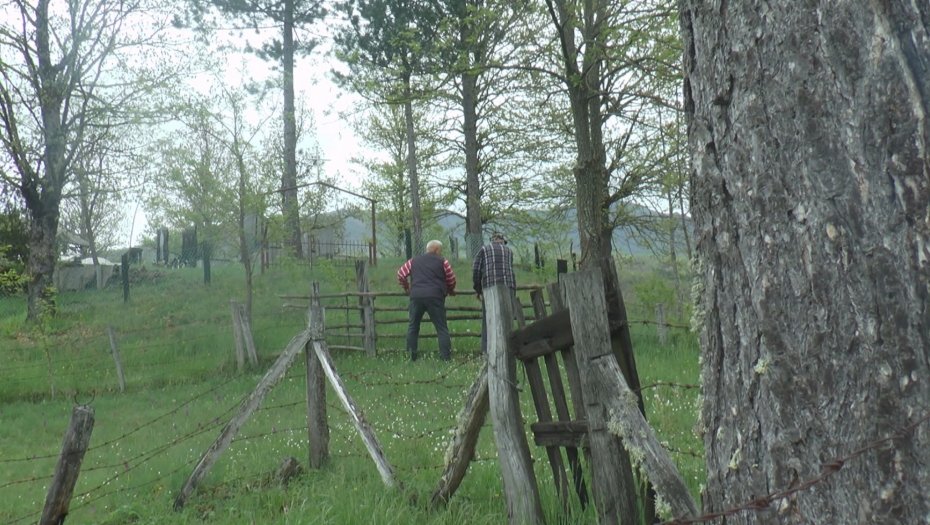 SEVALI NOŽEVI I VILE Otac i sin se potukli sa rođakom, sukob izbio zbog sporne međe