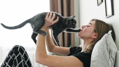 AKO VAS NAPADNE MAČKA, NIKAKO NE RADITE OVE 2 STVARI Ovo su ključni faktori za uspeh u radu sa agresivnom mačkom!