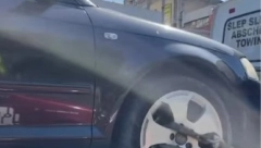 OSTAVILA JE OVU LIMENKU U KOLIMA Kada se vratila zatekla je šokantan prizor! (FOTO)