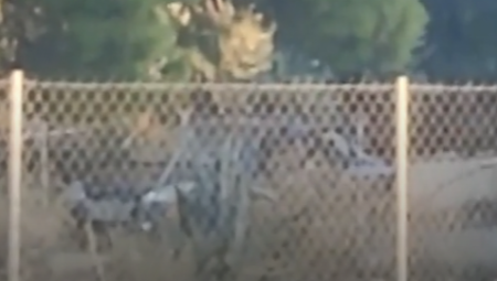 ISPLIVALI PRVI SNIMCI MASAKRA U GRČKOJ Ovde je pobijeno šestoro ljudi (VIDEO)