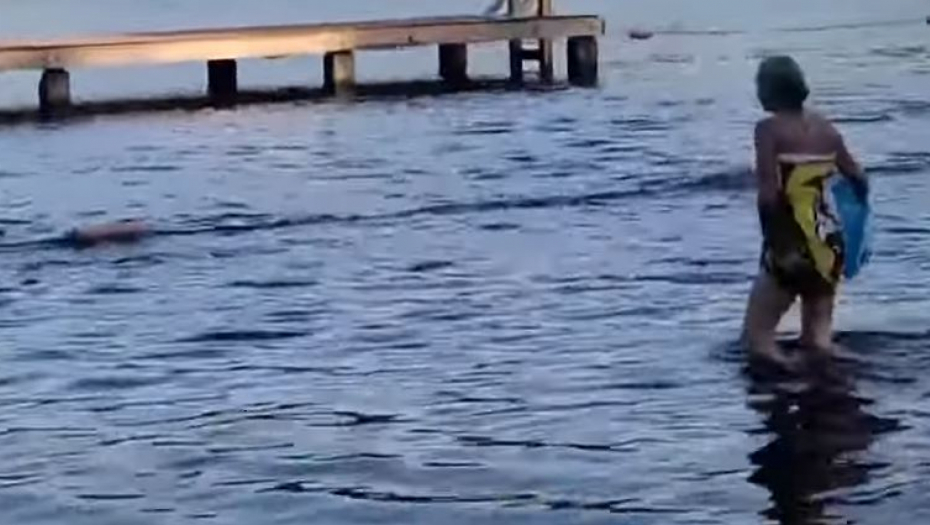 "MISLILA SAM DA ĆU UMRETI" Izviđačice se kupale u jezere, a onda je crna senka počela da im prilazi, prolomio se jeziv krik (VIDEO)