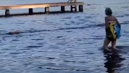 "MISLILA SAM DA ĆU UMRETI" Izviđačice se kupale u jezere, a onda je crna senka počela da im prilazi, prolomio se jeziv krik (VIDEO)