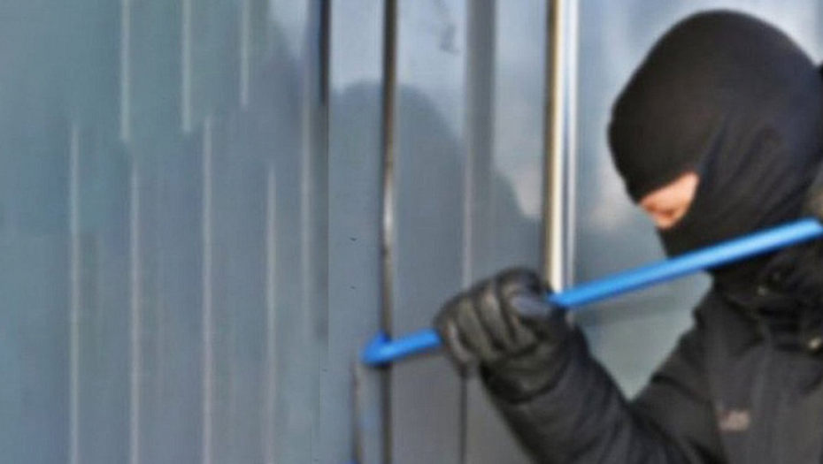 LOPOV UHVAĆEN NA DELU Pokušaj krađe, a onda i napad na radnika obezbeđenja