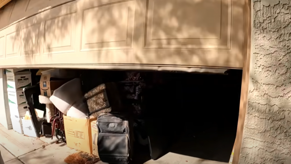 PRIMETIO JE DA NEŠTO GMIŽE U GARAŽI Kada je ušao unutra, hitno je pozvao pomoć, bilo ih je preko 20! (VIDEO)