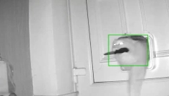 UHVAĆENA SA NOŽEM U USTIMA Kamere zabeležile neverovatnu scenu, "klepto maca" postala hit na mrežama (VIDEO)