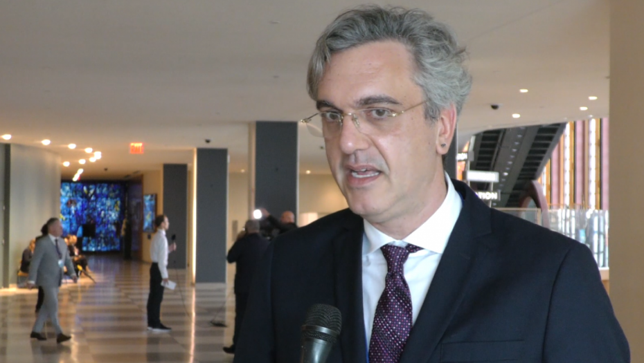 Čadež: U UN predstavljamo i privredu Srbije