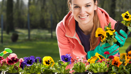 SVE KOMŠINICE ĆE VAM ZAVIDETI Posadite jesenje cveće koje će raskošno cvetati do snega
