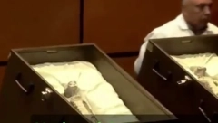 VANZEMALJCI PREDSTAVLJENI U MEKSIKU? Evo šta naučnici kažu za skelete (VIDEO)