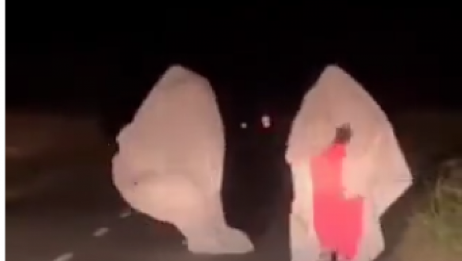 JEZIVA IGRA TINEJDŽERA KOJA VODI U SMRT Novi trend na društvenim mrežama širi paniku među vozačima i roditeljima (VIDEO)