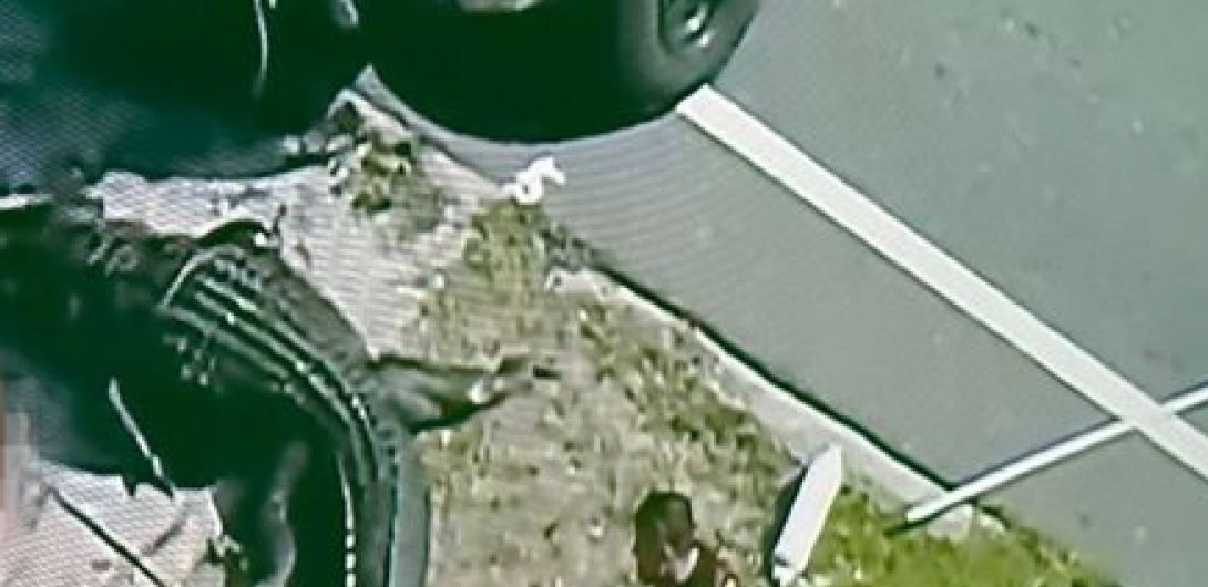 ALIGATOR NOSIO TELO MRTVOG ČOVEKA U ČELJUSTIMA Pojavila se jeziva fotografija sa lica mesta