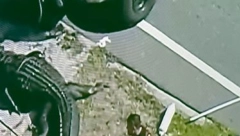 ALIGATOR NOSIO TELO MRTVOG ČOVEKA U ČELJUSTIMA Pojavila se jeziva fotografija sa lica mesta