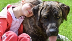 NA JEDNOM PSU SPAVALA, A DRUGI JE ČUVAO Pronađena devojčica koja se izgubila sa 2 kućna ljubimca