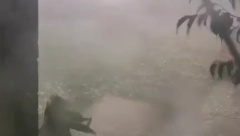 JEZIVO NEVREME U SRBIJI! KIŠA LIJE, ŠIBA OLUJNI VETAR I BIJE GRAD! U ovom mestu kao nebo da se otvorilo (VIDEO)
