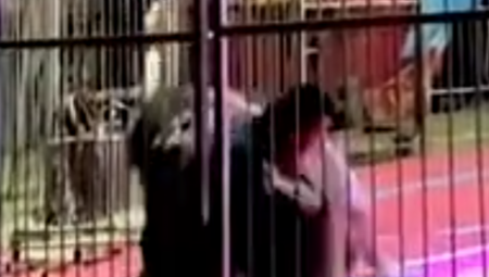 LAV NAPAO ČOVEKA, POSMATRAČI VRIŠTALI IZ SVEG GLASA Isplivao uznemirujući snimak (VIDEO)