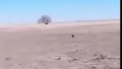 KAKO JE OVO STVORENJE DOSPELO U PUSTINJU? Čovek objavio nesvakidašnji snimak, životinja mu izenada prišla (VIDEO)