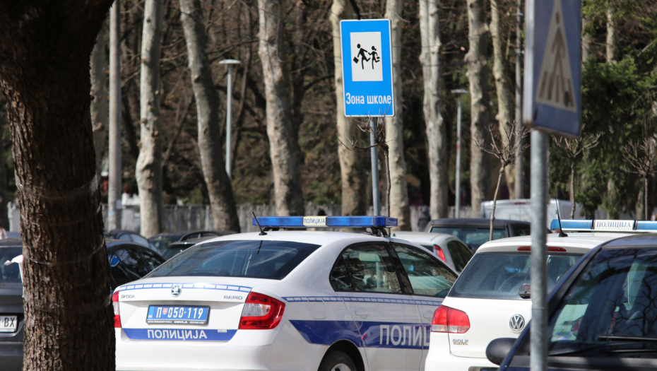 ZAKOPAO PUŠKE U ŠUMI Negotinac sakrio oružje i  155 metaka različitog kalibra