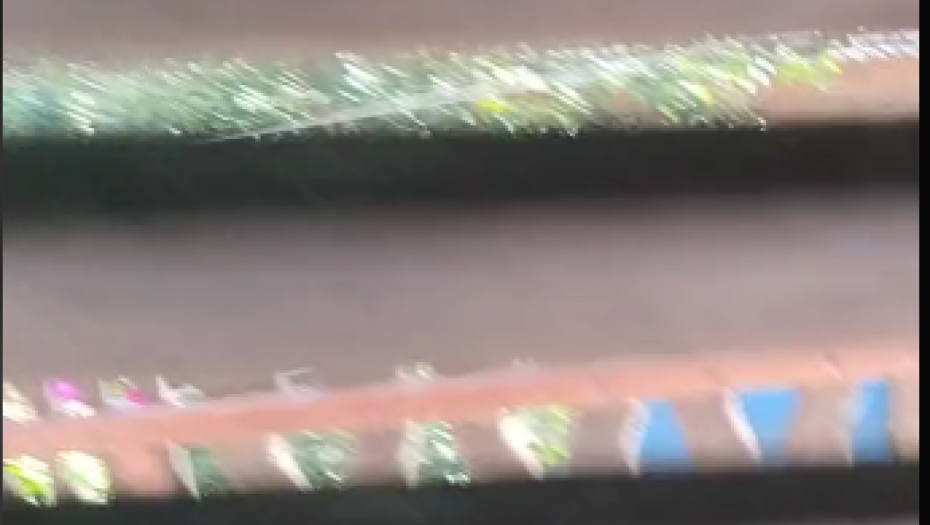 DEVOJKA IZ SRBIJE SNIMLA GADAN PRIZOR Ljudi sa gađenjem gledaju, mnogi priznali da imaju isti problem (VIDEO)