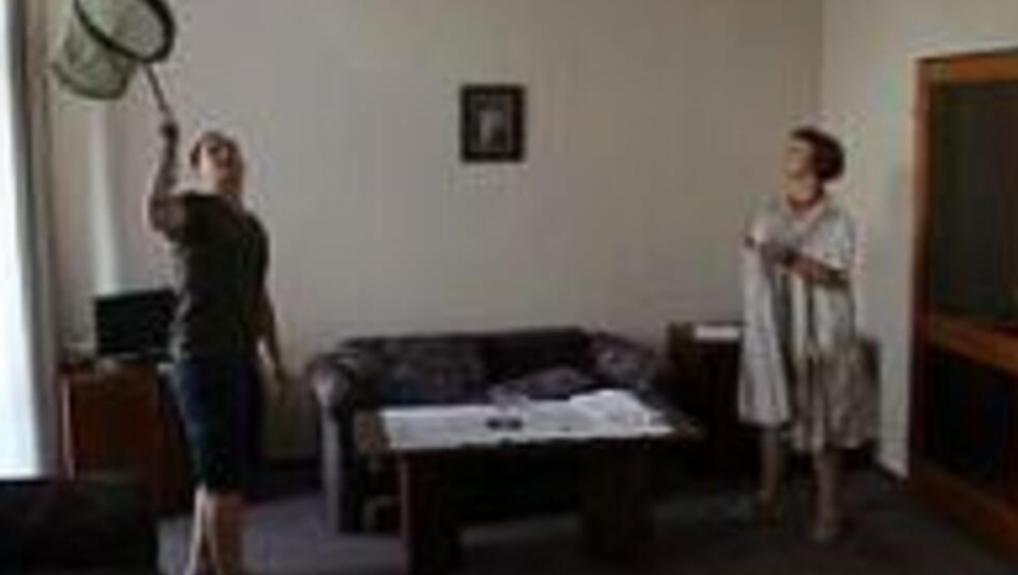 ZASPALI U SOBI, PROBUDILI SE U PAKLU Gosti hotela doživeli scenu kao iz najgoreg horor filma, jeziva stvorenja su bila svuda oko njih (FOTO)