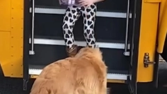 LJUBAV DO NEBA Zlatni retriver svaki dan čeka devojčicu posle škole, a onda uradi nešto neverovatno