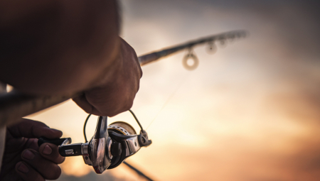 PECAROŠ IZVUKAO NEOČEKIVAN "ULOV" U POLJSKOJ Odmah je pozvao policiju (FOTO)