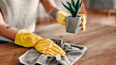 TRIK ISKUSNIH DOMAĆICA Pomešajte ova tri sastojka i recite zbogom prašini!