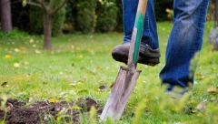 KOPAO RUPU ZA BAZEN I NAIŠAO NA NEVEROVATNO OTKRIĆE Od tada ga kaže prati samo sreća