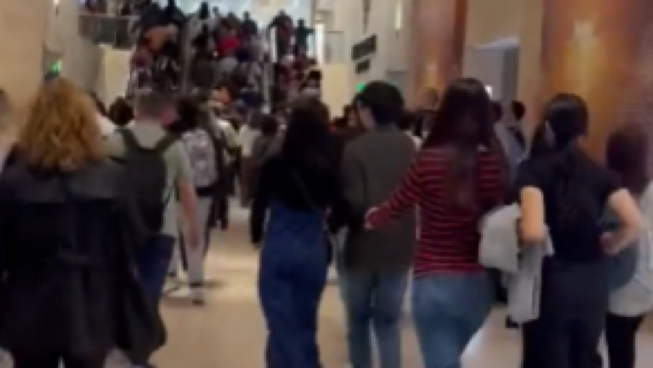 DRAMA U PARIZU, LUVR HITNO EVAKUISAN Panika je sve veća posle napada islamista (VIDEO)