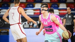 DONETA ODLUKA Hrvat menja Nikolu Topića