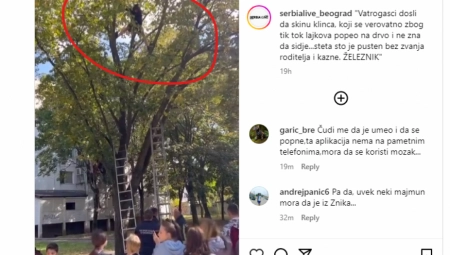 DEČAK SE ZAGLAVIO NA VRHU DRVETA ZBOG TIK TOKA?! Vatrogasci morali da intervenišu zbog njegovih lajkova