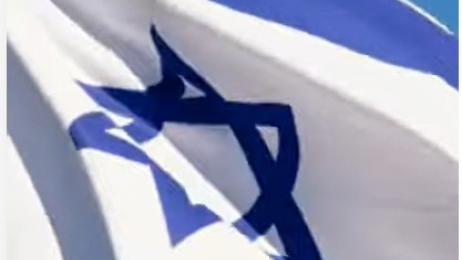 Paljenje izraelskih zastava širom Nemačke