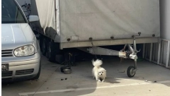 "MOLIM VAS ZA POMOĆ, OVO JE UŽASNO" Komšije stambene zgrade u Novom Sadu očajne: "Godinu dana gledamo mučenje ove životinje"