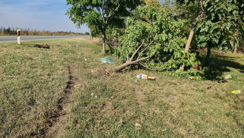 OVO JE MESTO NA KOJEM JE POGINULA DEVOJČICA (3) IZ MELENACA Od siline udarca srušeno drvo, komšije u šoku (FOTO + VIDEO)
