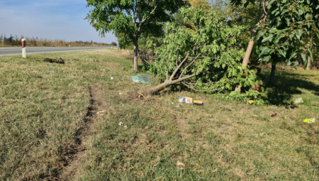 OVO JE MESTO NA KOJEM JE POGINULA DEVOJČICA (3) IZ MELENACA Od siline udarca srušeno drvo, komšije u šoku (FOTO + VIDEO)