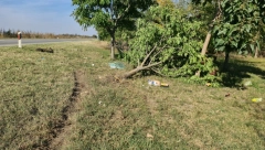 OVO JE MESTO NA KOJEM JE POGINULA DEVOJČICA (3) IZ MELENACA Od siline udarca srušeno drvo, komšije u šoku (FOTO + VIDEO)