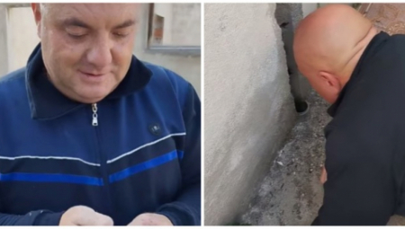 NOVA INVAZIJA ZMIJA U SRBIJI! Ulaze u dečje krevete! "Pazite i na ova mesta"