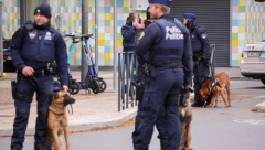 OTAC UBIJEN PRED SINOM (12) Jeziv zločin, napadači verovatno lokalna banda