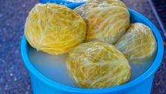 KAKO DA NAM SE KISELI KUPUS NE POKVARI NA OVIM TEMPERATURAMA Uz pomoć jedne stvari sačuvaćete ga čak do leta