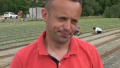 NJEGOŠ JE LEP, MLAD SPOSOBAN ČOVEK, ALI IMA JEDNU MUKU "Kad izbacim sliku sa njive, nijedna neće da lajkuje, a na onu sa rols rojsom javi se njih 300”