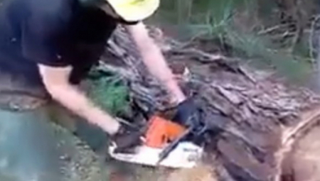 ZASEKAO STABLO I UGLEDAO SCENU KAO IZ HOROR FILMA Curelo je na sve strane, a testera je bila krvava