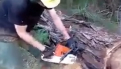 ZASEKAO STABLO I UGLEDAO SCENU KAO IZ HOROR FILMA Curelo je na sve strane, a testera je bila krvava