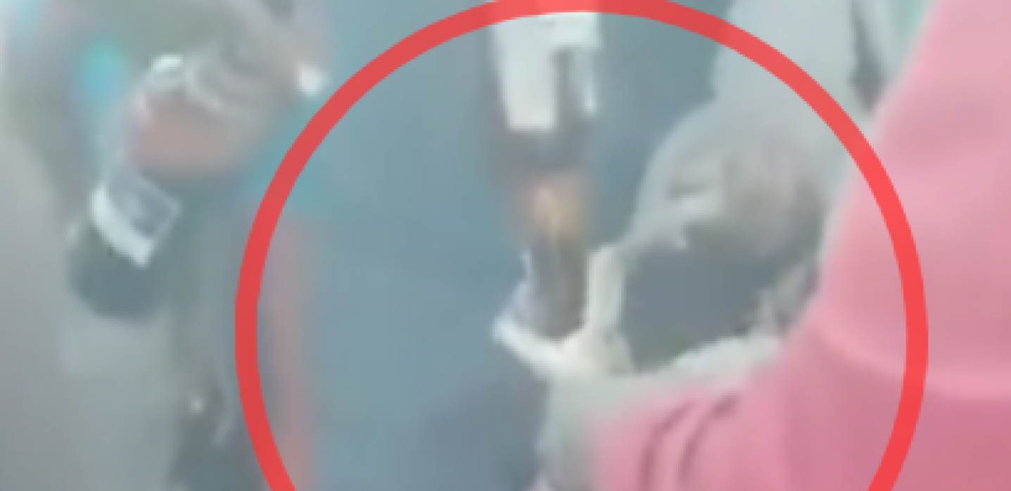 TERALI PITONA DA PIJE PIVO Mladići u alkoholisanom stanju uhvatili životinju, pa je zlostavljali (VIDEO)